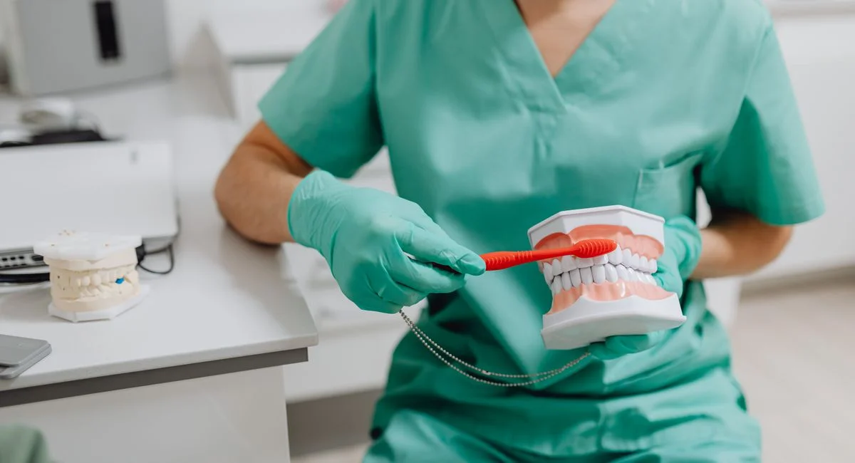A dental professional demonstrating proper toothbrush technique with a dental model.