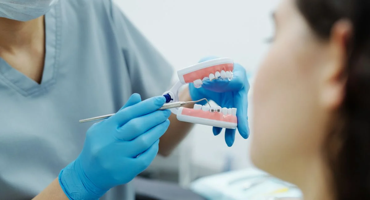Dentist in gloves demonstrates dental care using a teeth model during an appointment.