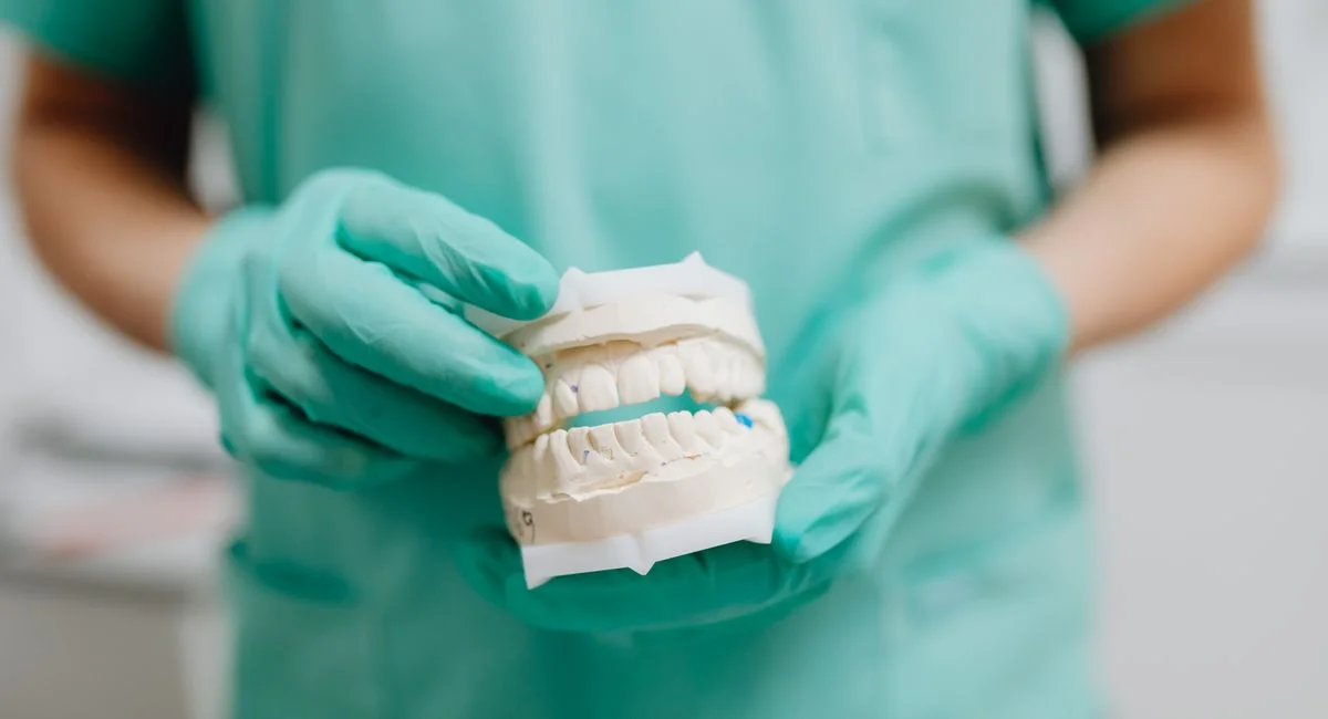 Dentist holding a dental cast with green gloves, representing dental care and prosthetics.