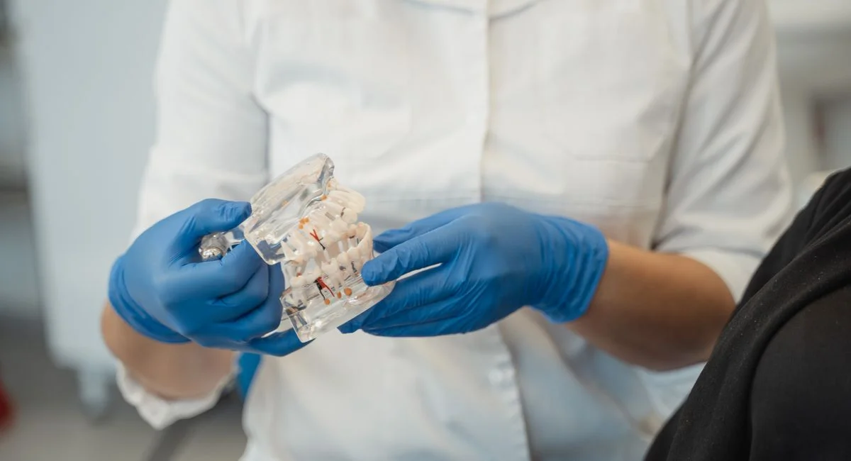 A dentist wearing gloves demonstrates a dental model in a clinical setting.