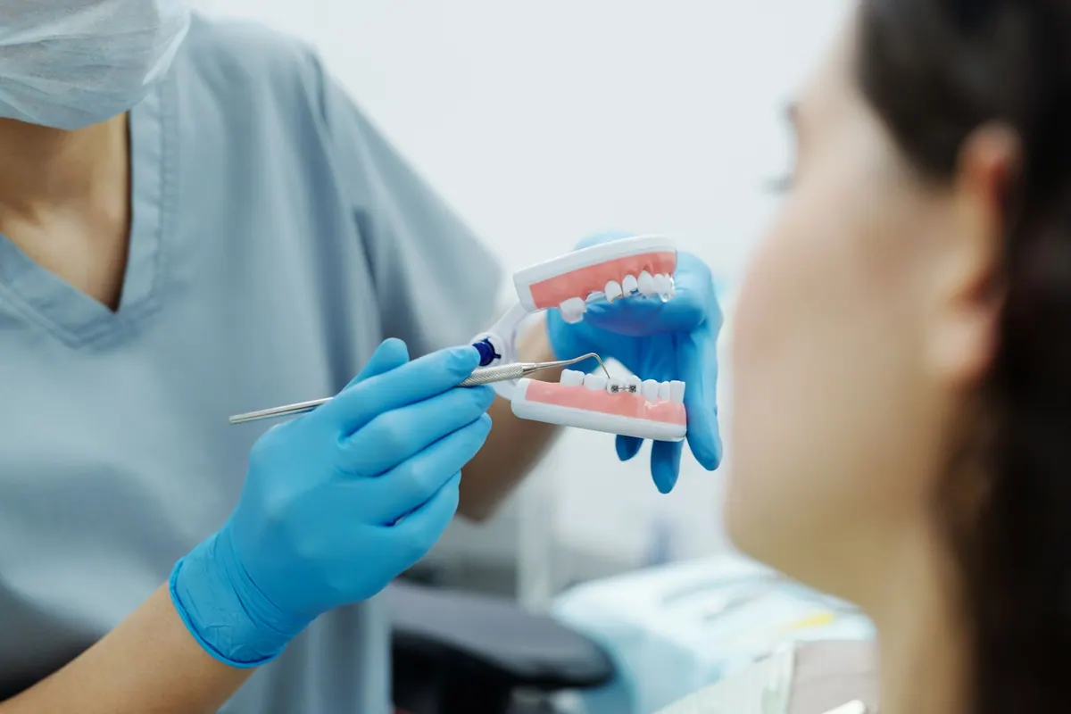 Présentation du brossage sur un modèle de dents avec appareil orthodontique