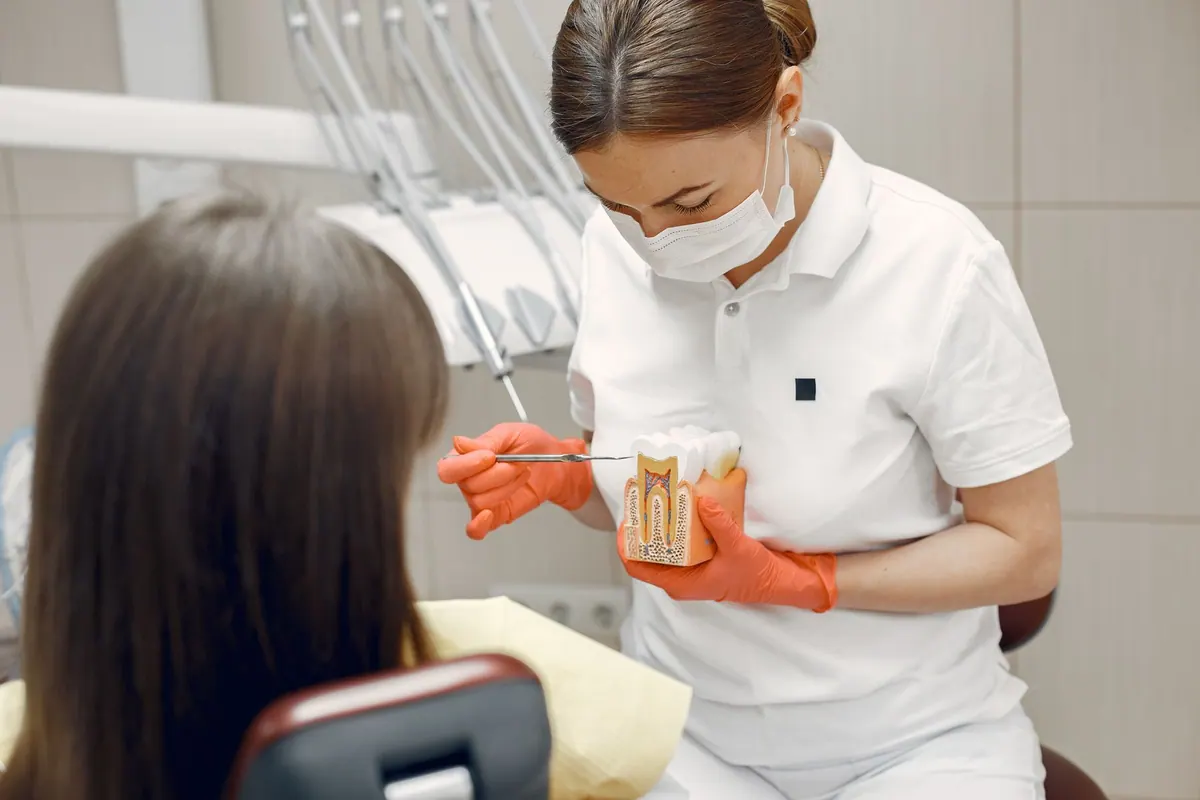 Dentiste présentant un modèle de dentition à sa patiente